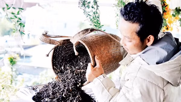 Quả lylu được anh Ha Phát hái về từ rừng và chế biến thành muối đặc sản.