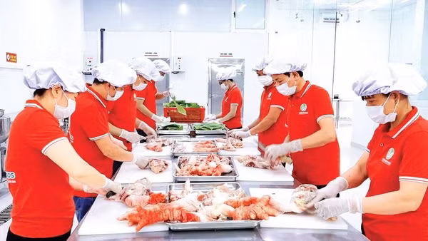 Chế biến thịt gà Đông Tảo tại Công ty cổ phần thực phẩm Tuấn Vũ Foods.