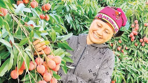 Nông dân xã Đoàn Đào chuyển đổi sang trồng vải trứng cho thu nhập cao.