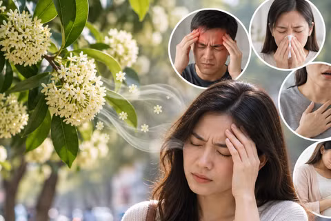 (Ảnh minh họa do AI thiết kế)