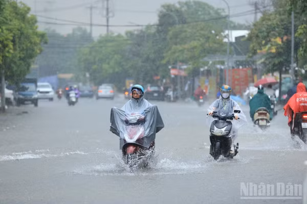 (Ảnh minh họa: THÀNH ĐẠT)