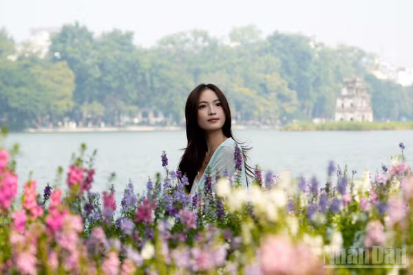 Những thảm hoa violet Nhật nở rộ bao quanh một góc Hồ Gươm thu hút đông đảo các bạn trẻ đến tham quan, chụp ảnh. (Ảnh: QUỲNH ANH)