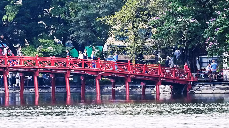 Tạo nên phong cảnh yên bình.