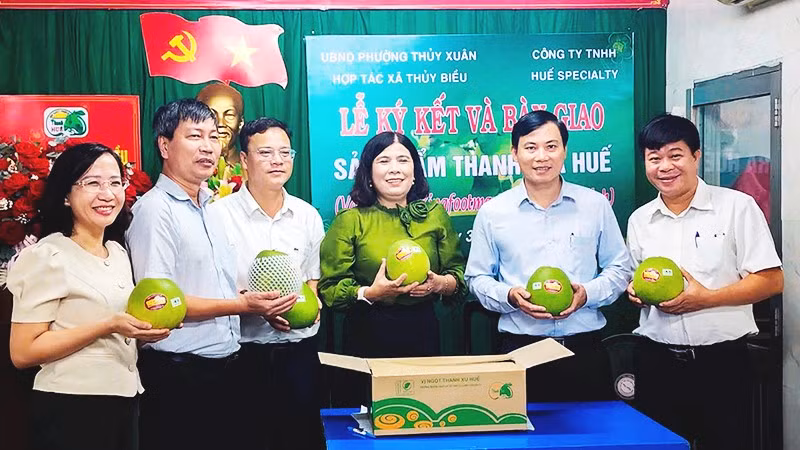 Đại diện các bên tại lễ ký kết hỗ trợ tiêu thụ thanh trà VietGAP Huế cung cấp cho siêu thị.