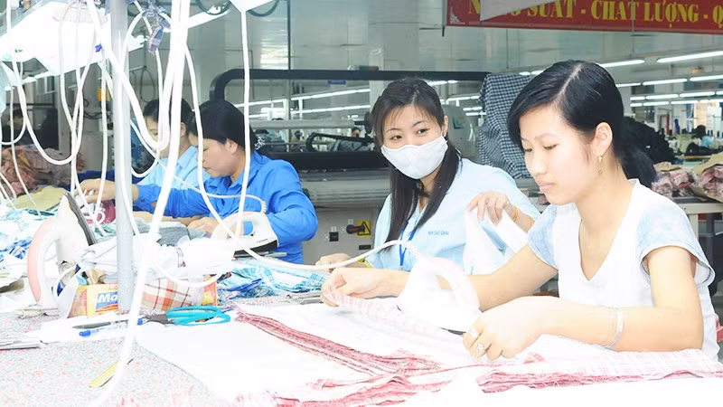 Tận dụng các ưu đãi từ FTA giúp doanh nghiệp duy trì đơn hàng và sức cạnh tranh tại các thị trường xuất khẩu. Ảnh: NAM ANH