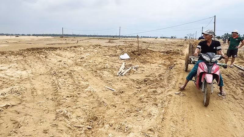 Người dân ở xã Đại Lộc, thành phố Đà Nẵng khôi phục lại diện tích canh tác đã bị đất, cát bồi lấp hoàn toàn.