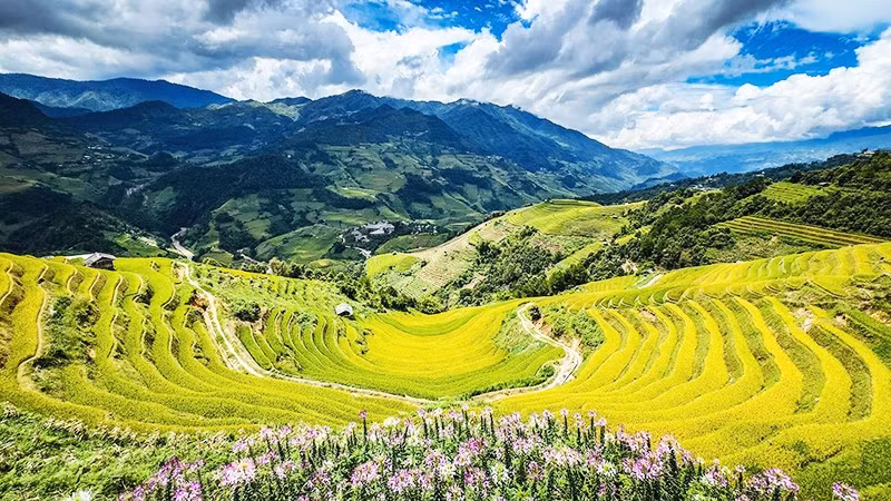 Bức tranh thủy mặc của núi rừng.