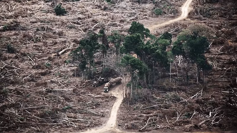 Một khu rừng tại Brazil bị tàn phá. Ảnh: PINTEREST 