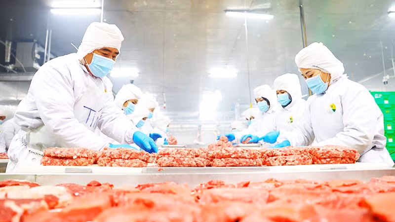 Nhiều doanh nghiệp đã chủ động đầu tư sản xuất theo mô hình khép kín, bảo đảm an toàn thực phẩm và truy xuất nguồn gốc.