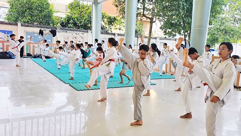 Võ thuật là môn học được nhiều em nhỏ lựa chọn tại các lớp năng khiếu hè.
