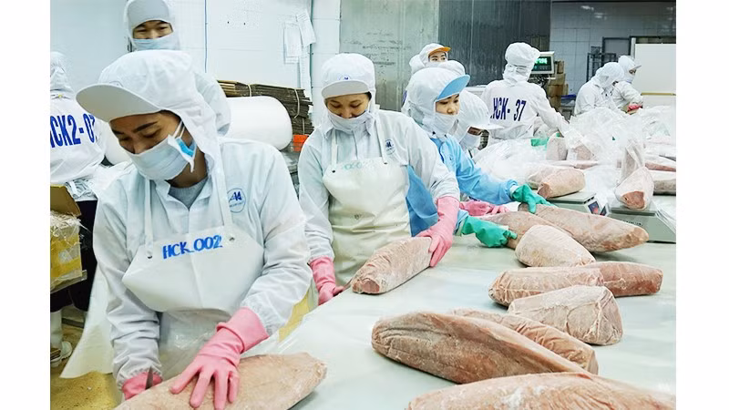 Kim ngạch xuất khẩu hải sản sáu tháng đầu năm ước đạt khoảng 5,7 tỷ USD, tương ứng mức tăng khoảng 11%. Ảnh: BẮC SƠN