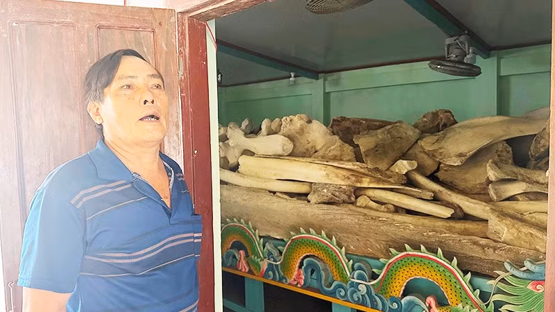Ông Nguyễn Phước bên nhà lưu trữ xương cá voi ở Vạn An Thạnh.