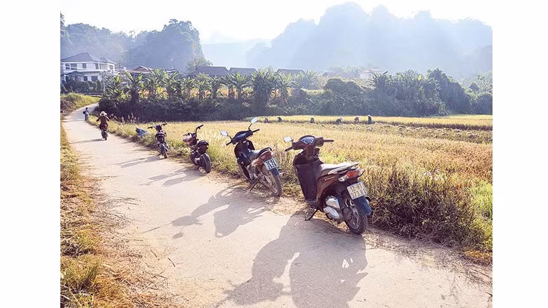 Giao thông thuận lợi dẫn về thôn.