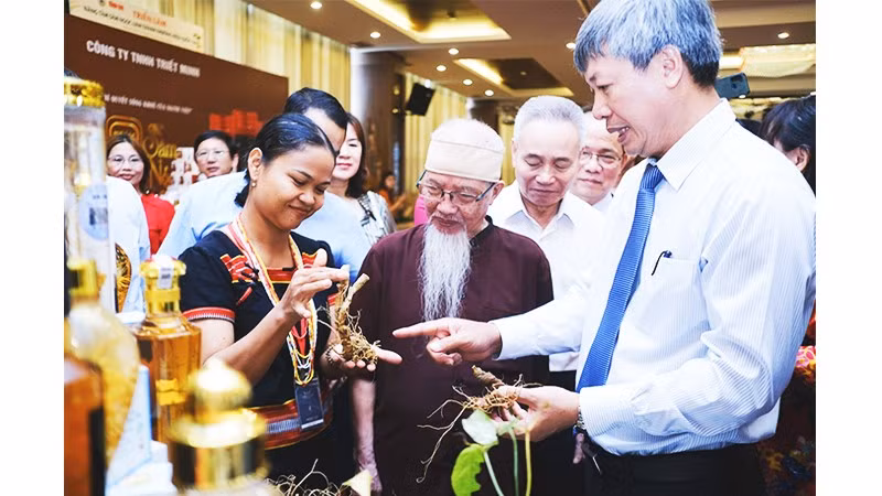 Chị Hồ Thị Mười, người trồng sâm giới thiệu sâm Ngọc Linh cho các khách dự hội thảo. Ảnh: TẤN LỰC