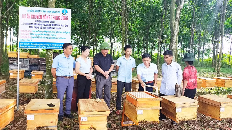 Chi bộ 4 tốt thôn Đông Nam là mô hình tiêu biểu, có sức lan tỏa cao tại địa bàn.