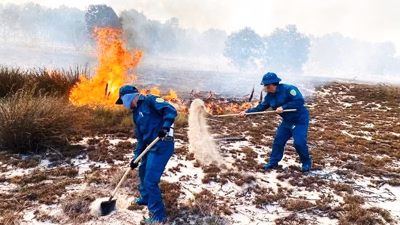 Dân quân xúc cát dập lửa cháy rừng ở xã Ninh Châu.