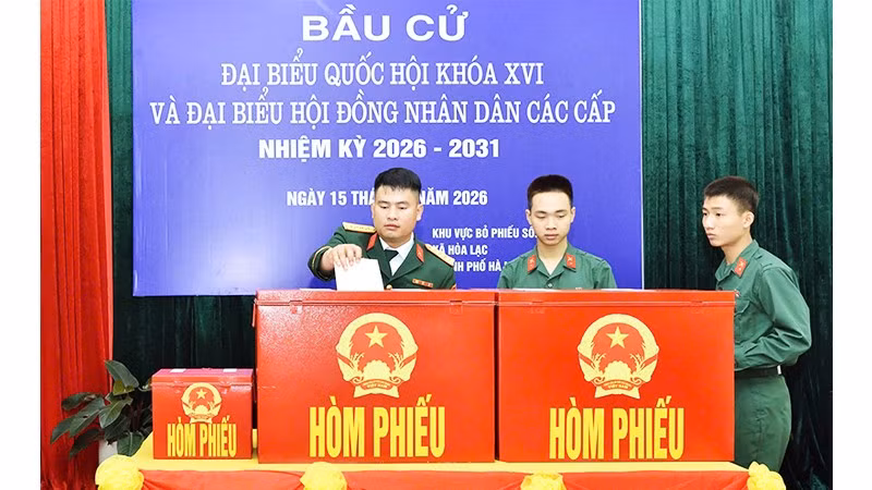 231.jpg