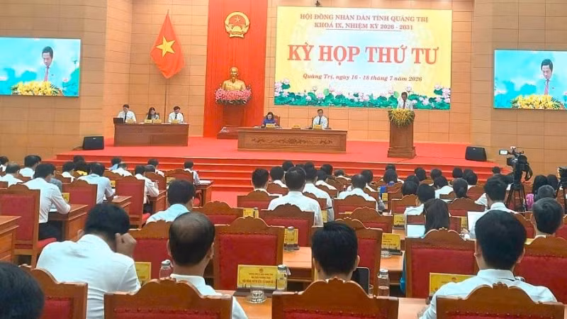 Tại kỳ họp thứ tư, Hội đồng nhân dân tỉnh Quảng Trị khóa IX, thông qua nghị quyết hỗ trợ đầu tư trồng rừng sản xuất gỗ lớn trên địa bàn.