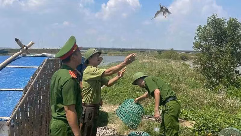 Công an xã Đan Hải, tỉnh Hà Tĩnh, và kiểm lâm thả các loài chim rừng về tự nhiên. (Ảnh: CÔNG AN XÃ ĐAN HẢI)