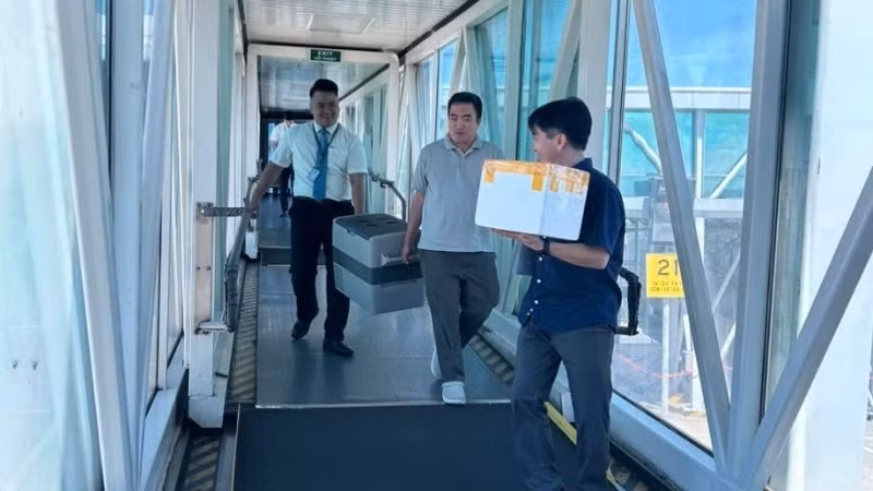 Hộp đựng tạng được nhân viên Vietnam Airlines hỗ trợ vận chuyển cùng các bác sĩ.