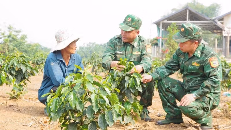 Không chỉ thực hiện tốt nhiệm vụ bảo vệ biên giới, thời gian qua, cán bộ, chiến sĩ Bộ đội Biên phòng Điện Biên còn chủ động giúp nhân dân biên giới chuyển đổi cây trồng, phát triển kinh tế gia đình hiệu quả. (Ảnh: ANH DŨNG)