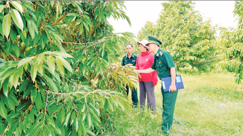 Đảng viên Đồn Biên phòng Tân Thành (Bộ đội Biên phòng tỉnh Đồng Nai) xuống cơ sở hỗ trợ nhân dân phát triển kinh tế, đồng thời nắm thông tin ở khu dân cư biên giới thông qua hộ gia đình mình phụ trách.