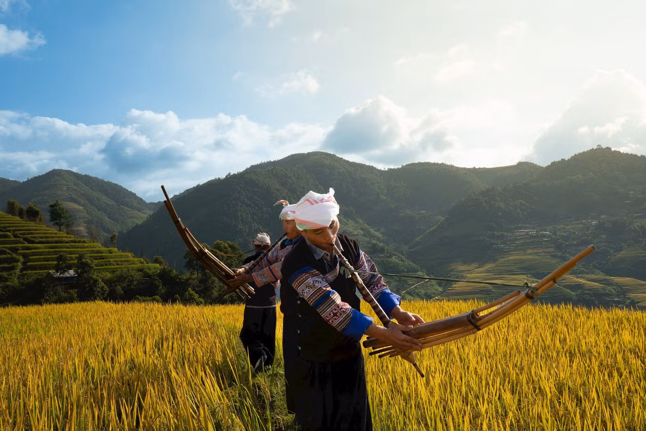 Biểu diễn khèn H’Mông giữa mùa vàng Lao Chải.
