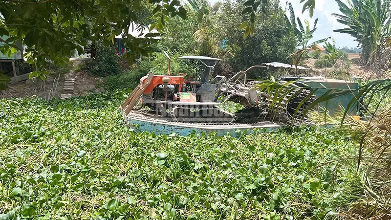 Một chiếc phà di chuyển khó khăn trên kênh Công Sự, xã Phương Thịnh do lục bình xuất hiện dày đặc. (Ảnh: HỮU NGHĨA)