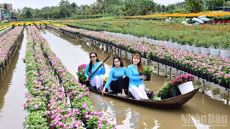 Du khách tham quan bằng xuồng tại tại Tổ hợp tác Sản xuất và cung ứng hoa, kiểng Tân An (phường Sa Đéc).