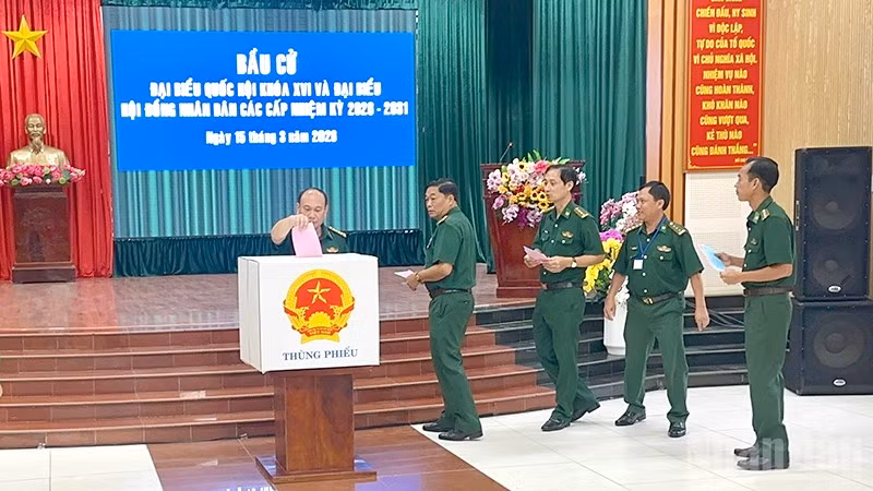 ndo_br_bcdt4.jpg