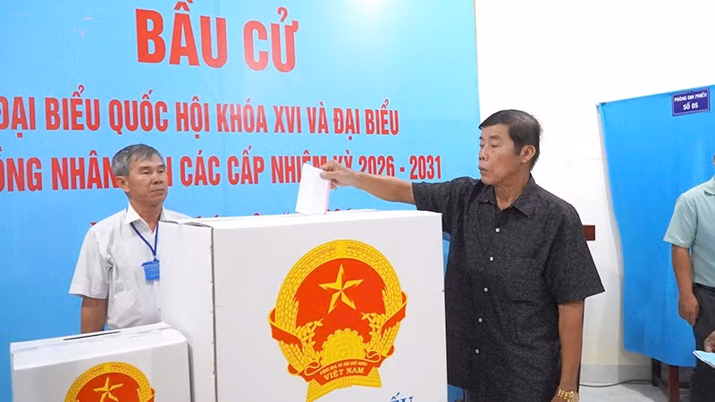 bcdt2.jpg