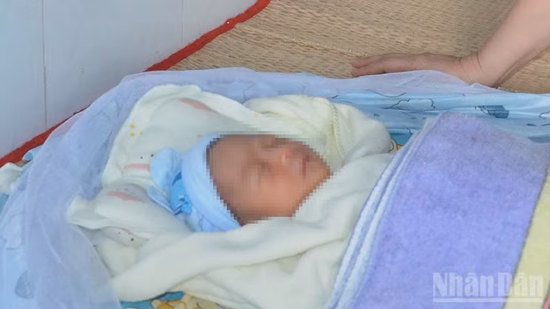 Cháu bé sơ sinh ị bỏ rơi. (Ảnh: Công an cung cấp)
