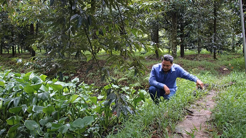 sauriengphuhuu.jpg