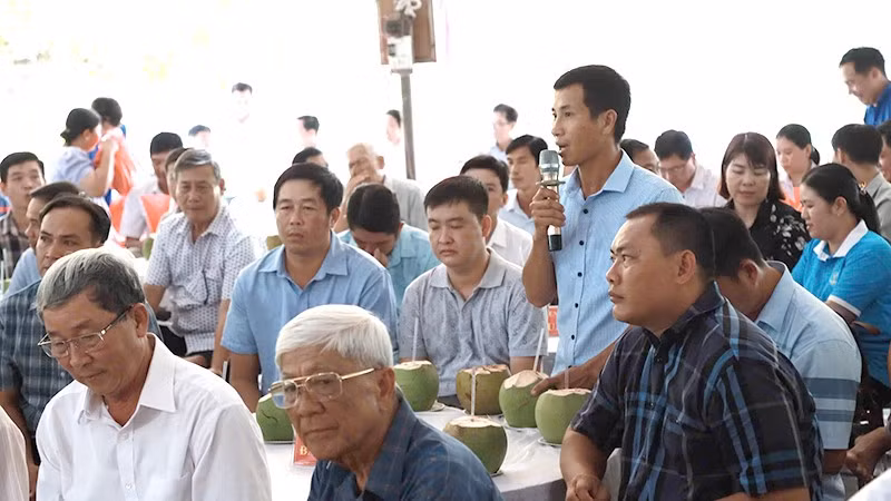 tanlong4.jpg