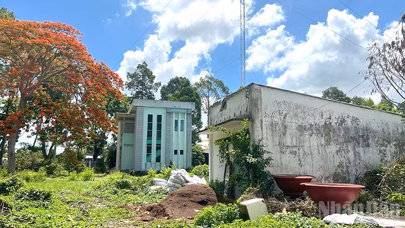 Hiện trường vụ tai nạn lao động.