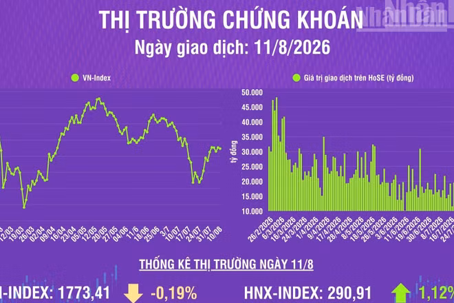 [Infographic] Chứng khoán ngày 11/8: VN-Index giảm nhẹ hơn 3 điểm, thanh khoản thị trường giảm