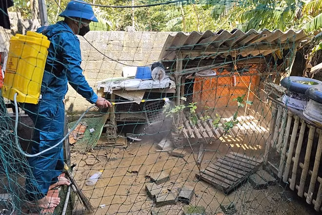 Dân quân ở tỉnh Thanh Hóa phun tiêu độc, khử trùng chuồng trại chăn nuôi cho hộ dân.