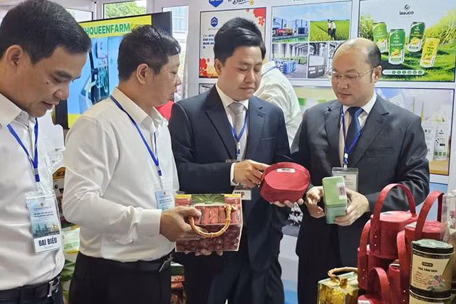 Lãnh đạo tỉnh Thanh Hóa tham quan các sản phẩm OCOP.