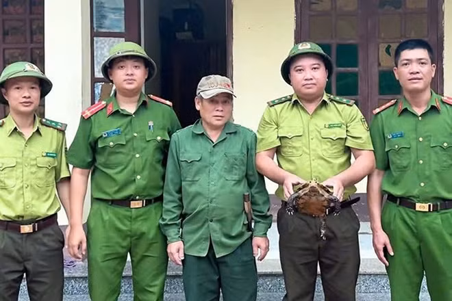 Kiểm lâm cùng Công an tiếp nhận cá thể rùa do công dân giao nộp.