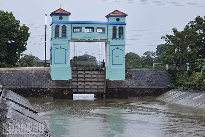 Công ty trách nhiệm một thành viên Sông Chu hiện đang tiêu, thoát nước ra sông Mã qua âu Bến Ngự.