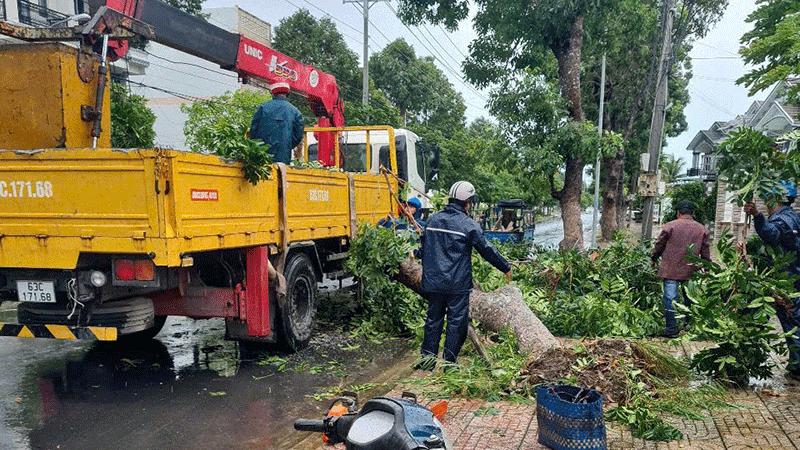 Cây xanh ngã đổ do mưa dông trên địa bàn phường Gò Công (tỉnh Đồng Tháp).
