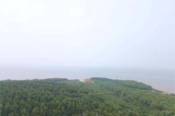 Màu xanh trên đất mũi Cà Mau.