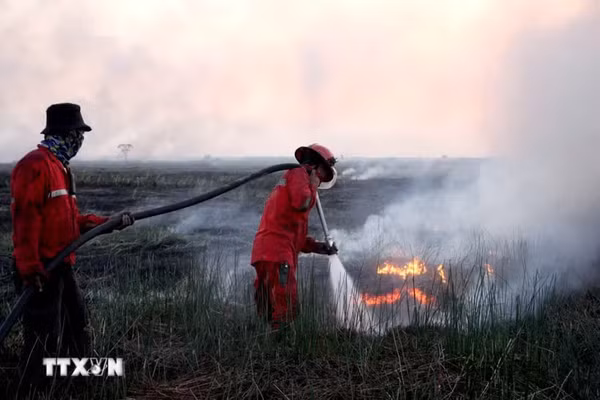 Lính cứu hỏa nỗ lực dập lửa cháy rừng tại Indonesia. (Ảnh: THX/TTXVN) 