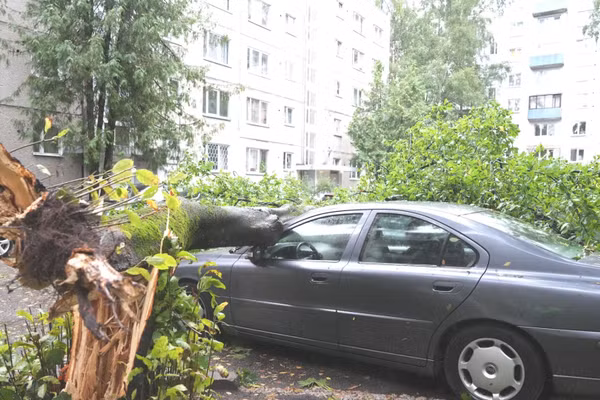 Bão quét qua Riga, Latvia. (Ảnh: TÂN HOA XÃ)