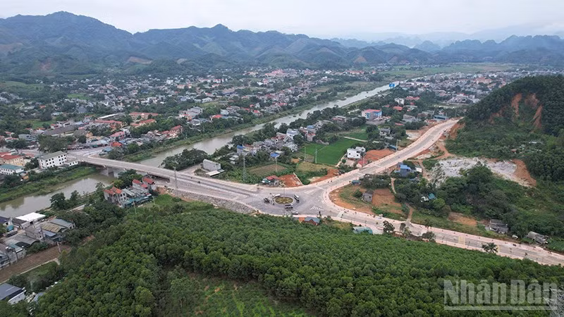 ndo_br_anh-2.jpg