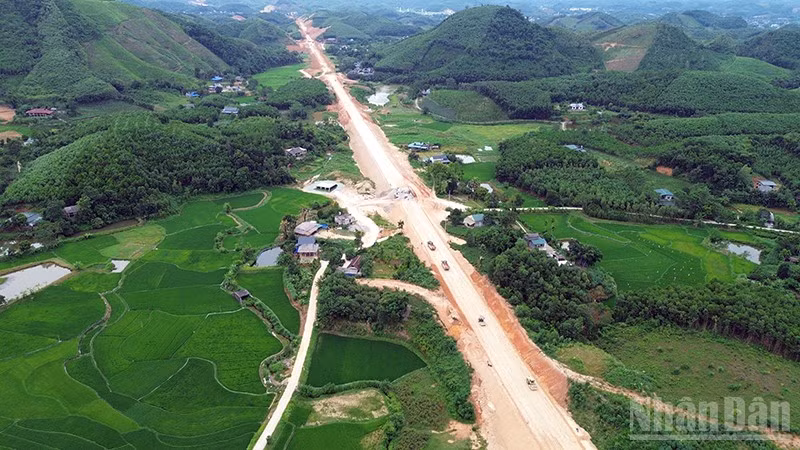 ndo_br_anh-8.jpg
