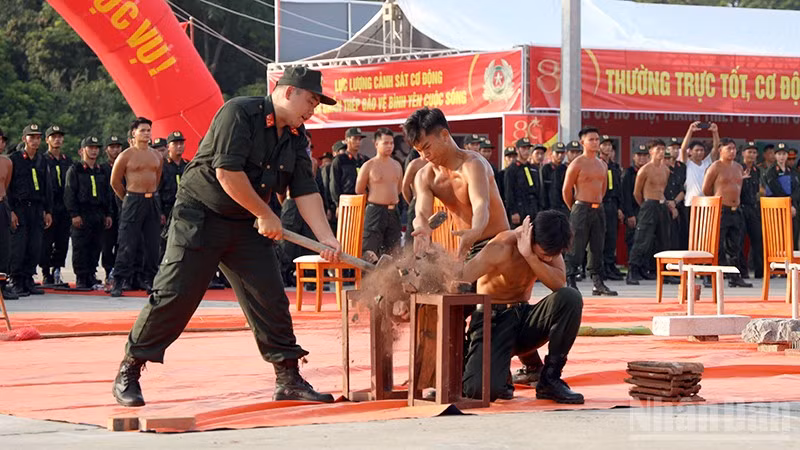ndo_br_anh-11.jpg