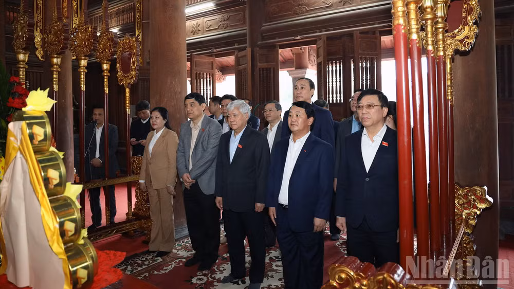 ndo_br_anh-5.jpg