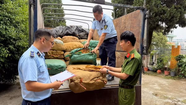 Lực lượng chức năng kiểm tra hàng hóa vi phạm. (Ảnh: BCT)