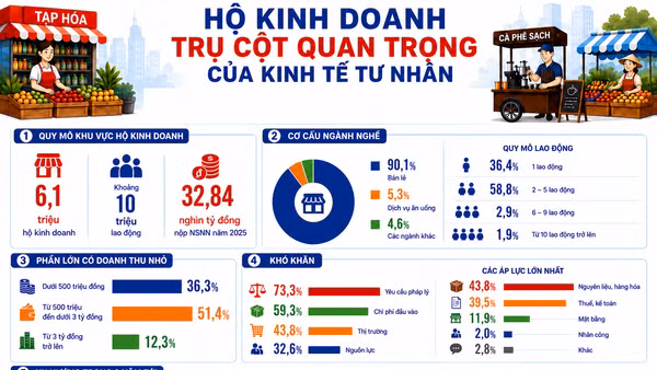 [Infographic] Hộ kinh doanh - Trụ cột quan trọng của kinh tế tư nhân